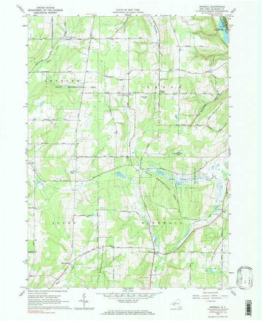 Classic USGS Birdsall New York 7.5'x7.5' Topo Map Image
