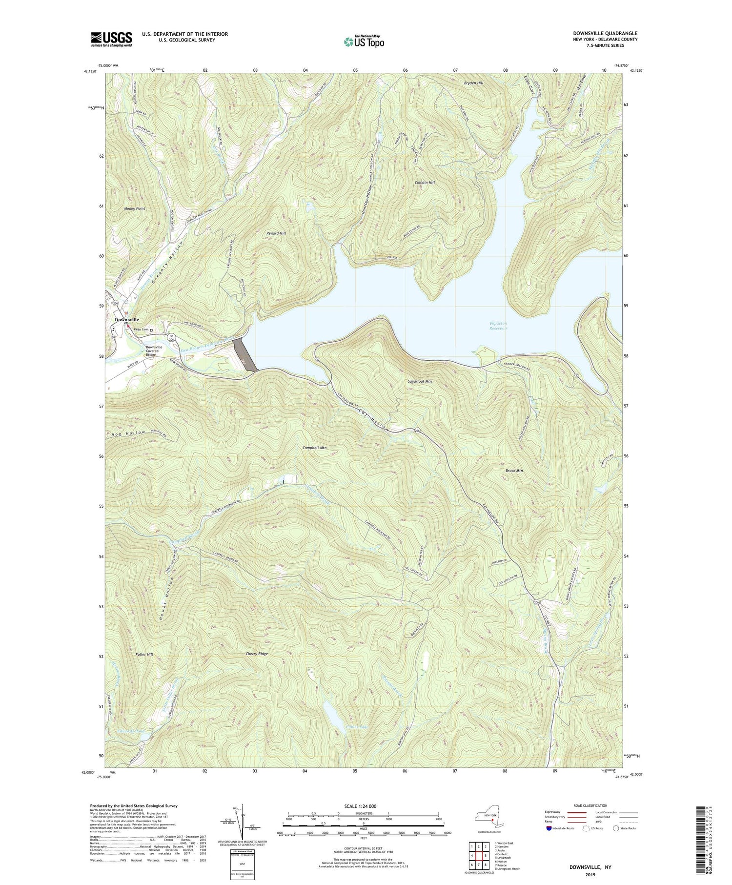 Downsville New York US Topo Map Image