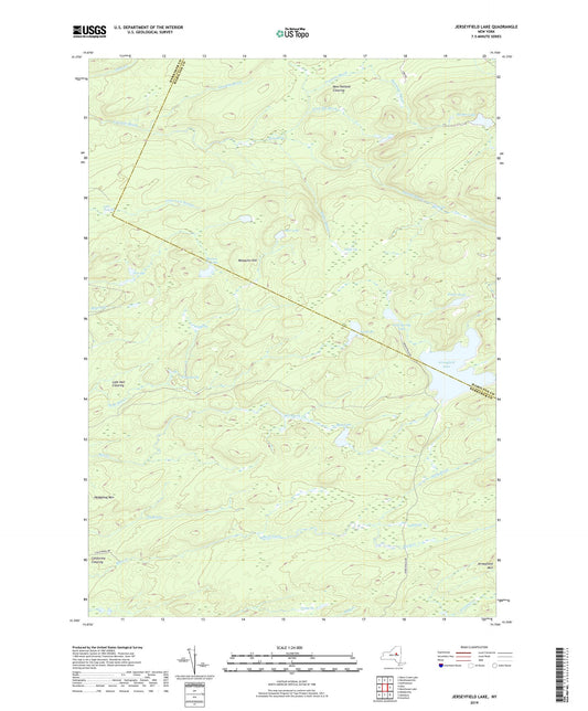 Jerseyfield Lake New York US Topo Map Image