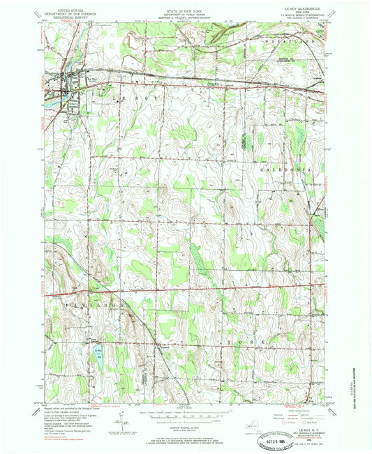 Classic USGS Le Roy New York 7.5'x7.5' Topo Map Image