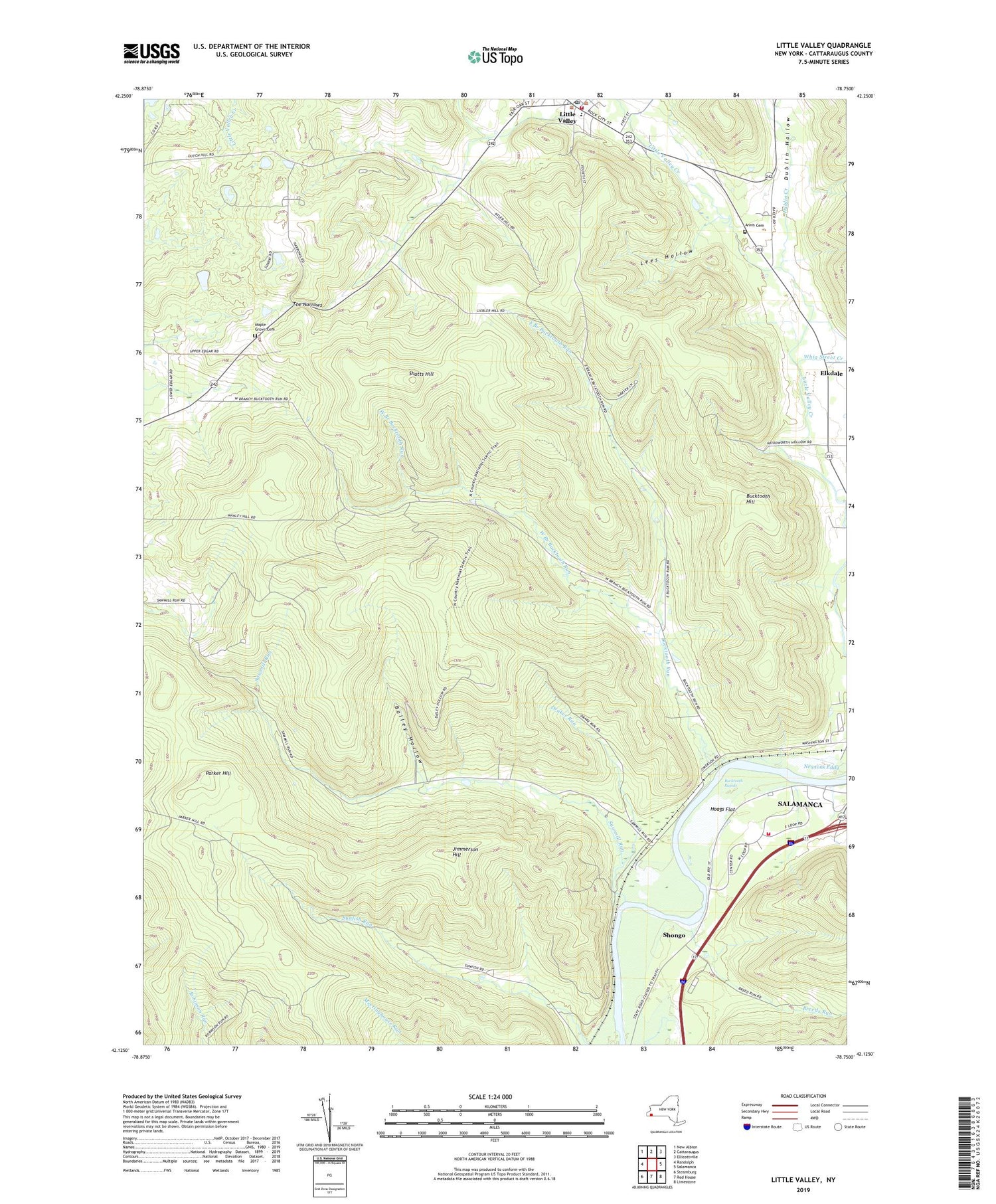 Little Valley New York US Topo Map Image