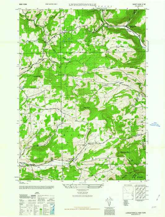 Classic USGS Livingstonville New York 7.5'x7.5' Topo Map Image