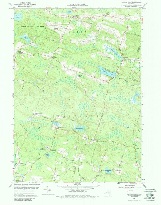 Classic USGS Panther Lake New York 7.5'x7.5' Topo Map Image