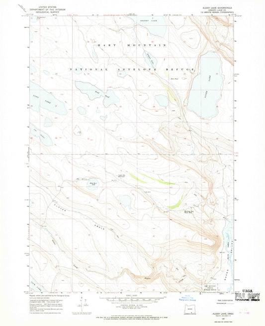 Classic USGS Alger Lake Oregon 7.5'x7.5' Topo Map Image