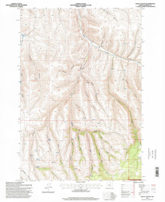 Classic USGS Balm Canyon Oregon 7.5'x7.5' Topo Map Image
