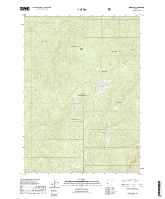 Brandy Peak Oregon US Topo Map Image