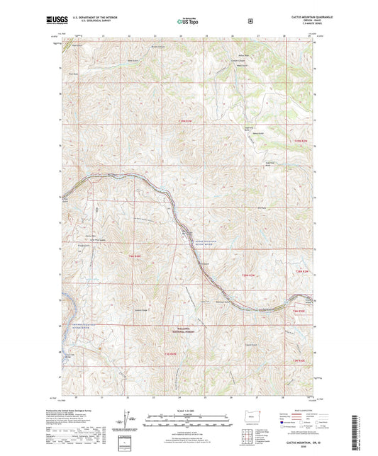 Cactus Mountain Oregon US Topo Map Image