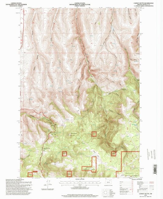 Classic USGS Carney Butte Oregon 7.5'x7.5' Topo Map Image