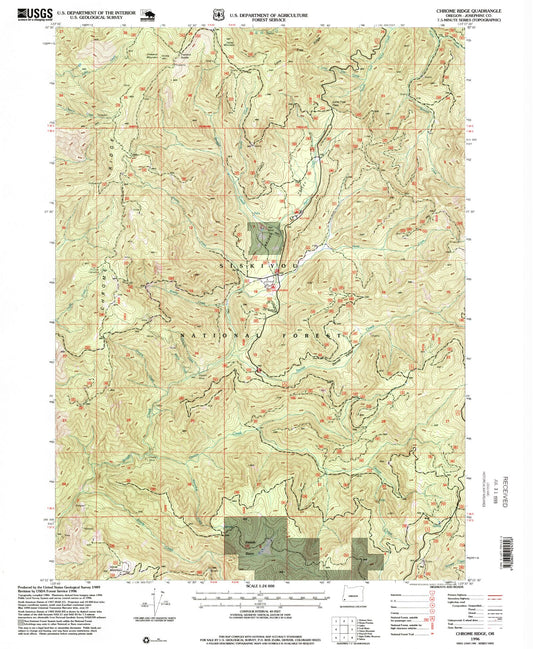 Classic USGS Chrome Ridge Oregon 7.5'x7.5' Topo Map Image