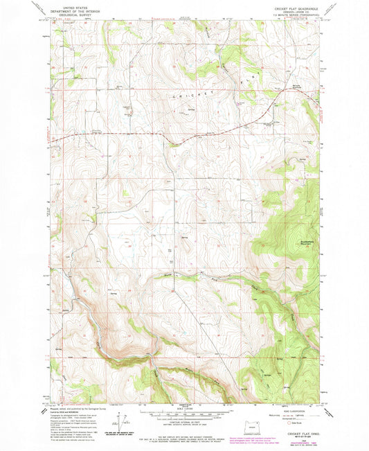 Classic USGS Cricket Flat Oregon 7.5'x7.5' Topo Map Image