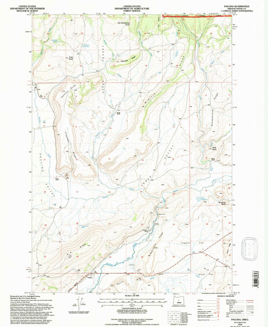 Classic USGS Paulina Oregon 7.5'x7.5' Topo Map Image