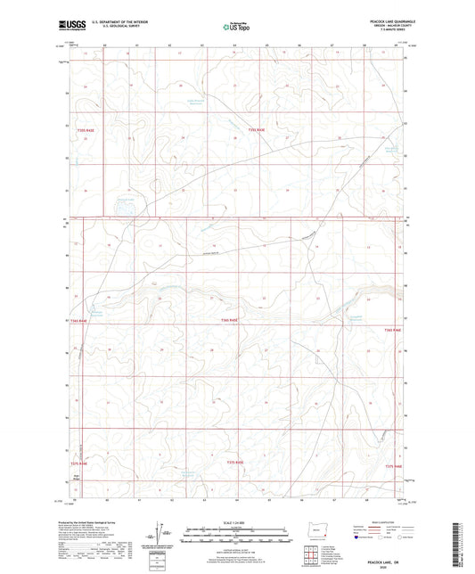 Peacock Lake Oregon US Topo Map Image