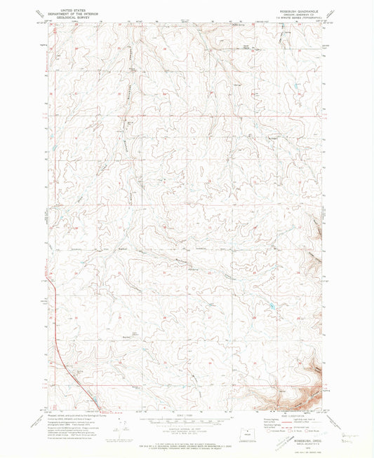Classic USGS Rosebush Oregon 7.5'x7.5' Topo Map Image