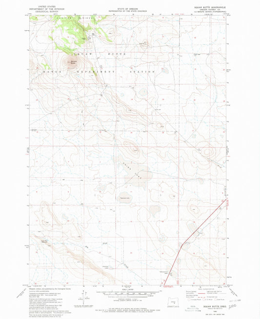 Classic USGS Paiute Butte Oregon 7.5'x7.5' Topo Map Image