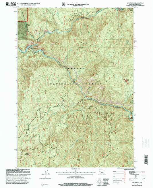 Classic USGS Steamboat Oregon 7.5'x7.5' Topo Map Image
