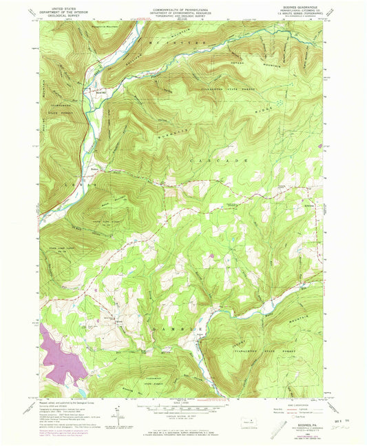 Classic USGS Bodines Pennsylvania 7.5'x7.5' Topo Map Image