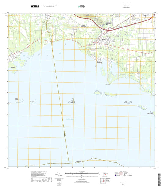 Salinas Puerto Rico US Topo Map Image