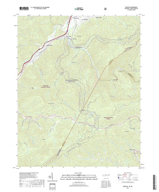 Chestoa Tennessee US Topo Map Image