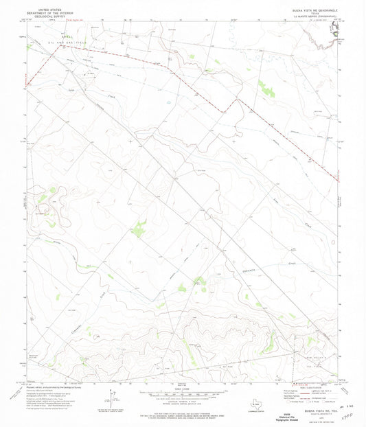 Classic USGS Buena Vista NE Texas 7.5'x7.5' Topo Map Image