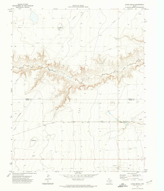 Classic USGS Capps Switch Texas 7.5'x7.5' Topo Map Image