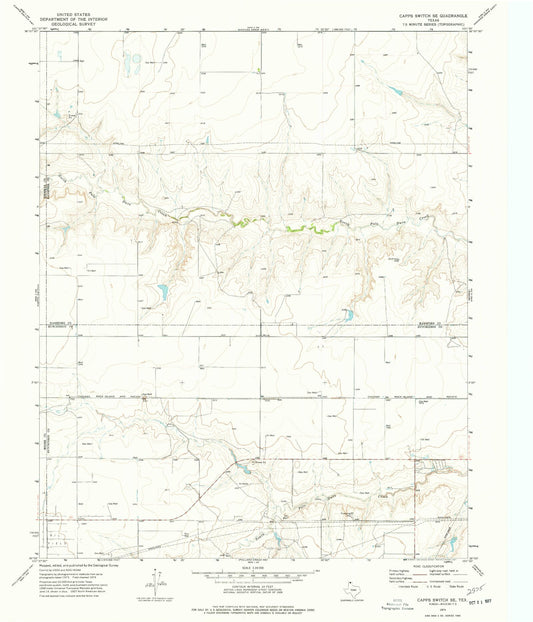 Classic USGS Capps Switch SE Texas 7.5'x7.5' Topo Map Image