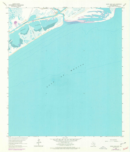 Classic USGS Cedar Lakes East Texas 7.5'x7.5' Topo Map Image