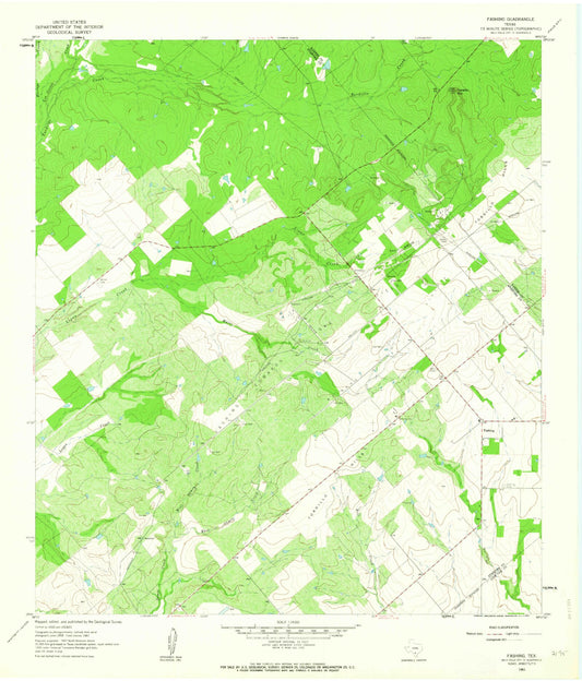 Classic USGS Fashing Texas 7.5'x7.5' Topo Map Image