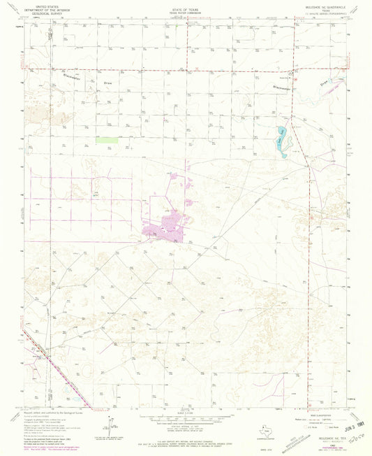 Classic USGS Muleshoe NE Texas 7.5'x7.5' Topo Map Image