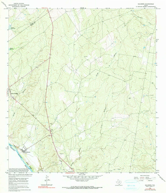 Classic USGS Salineno Texas 7.5'x7.5' Topo Map Image