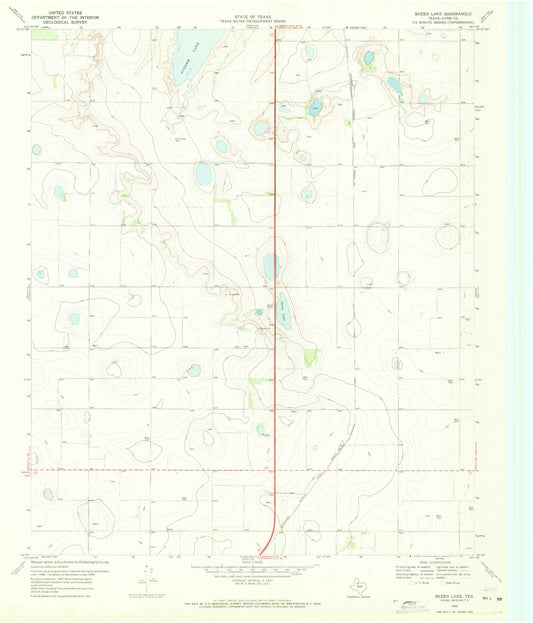 Classic USGS Skeen Lake Texas 7.5'x7.5' Topo Map Image