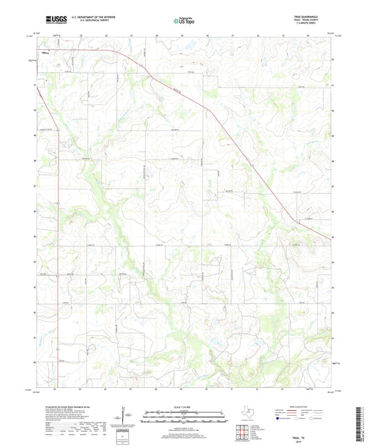 TRUE Texas US Topo Map Image