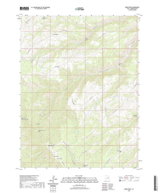 Bruin Point Utah US Topo Map Image