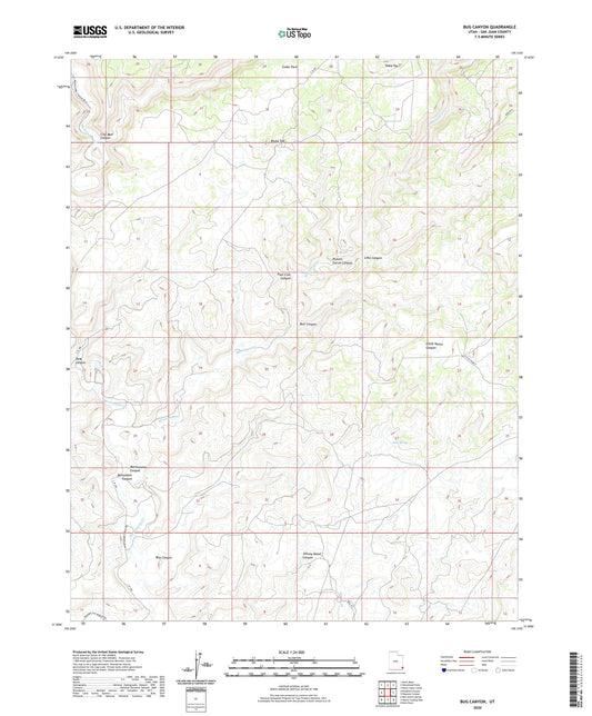 Bug Canyon Utah US Topo Map Image
