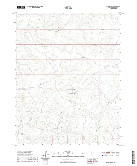 Navajo Canyon Utah US Topo Map Image