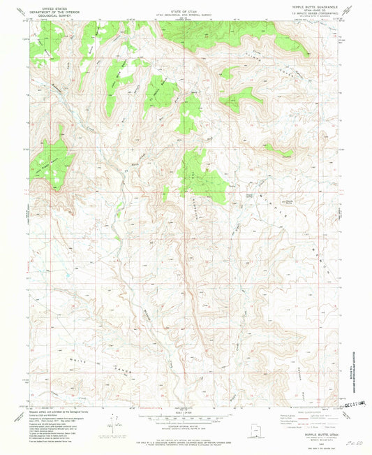 Classic USGS Nipple Butte Utah 7.5'x7.5' Topo Map Image