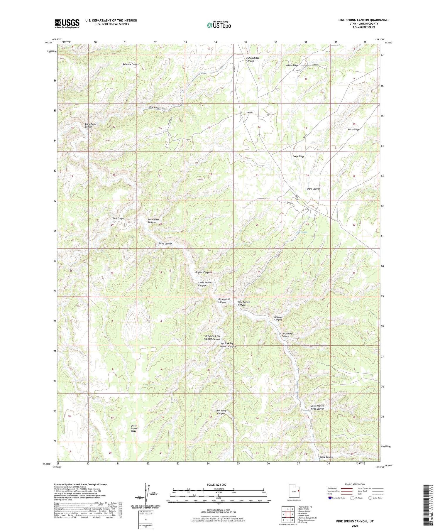 Pine Spring Canyon Utah US Topo Map Image