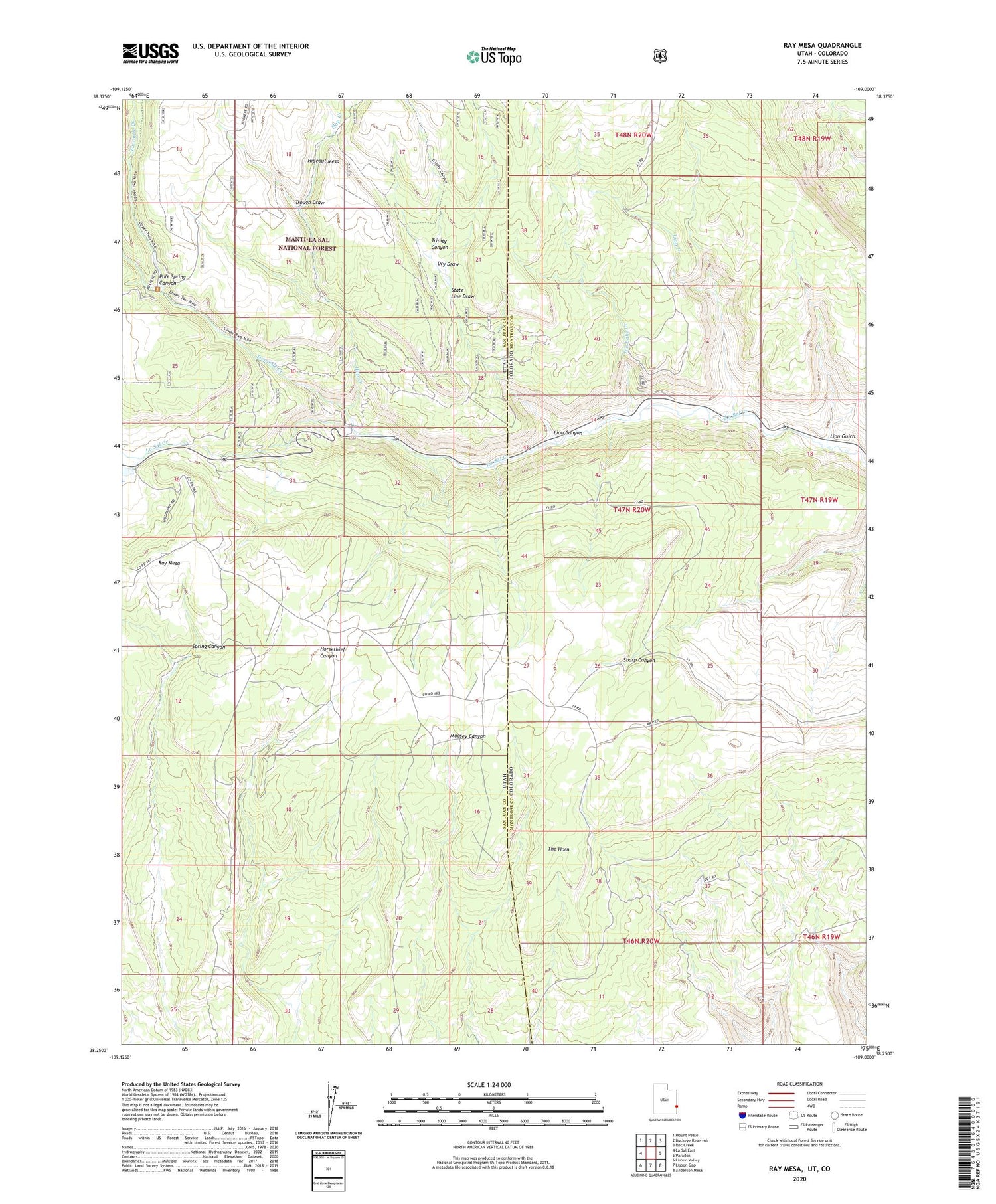 Ray Mesa Utah US Topo Map Image