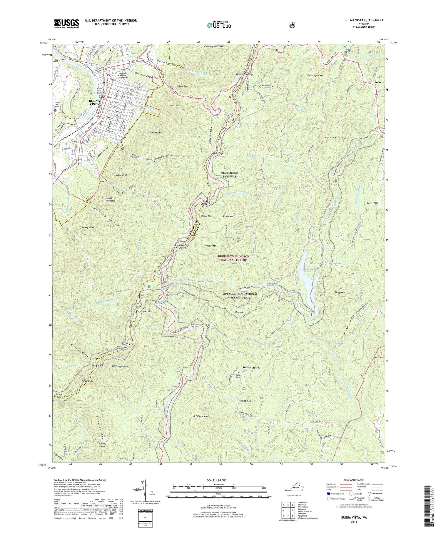 Buena Vista Virginia US Topo Map Image