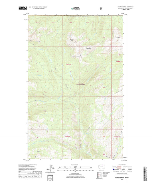 Bauerman Ridge Washington US Topo Map Image