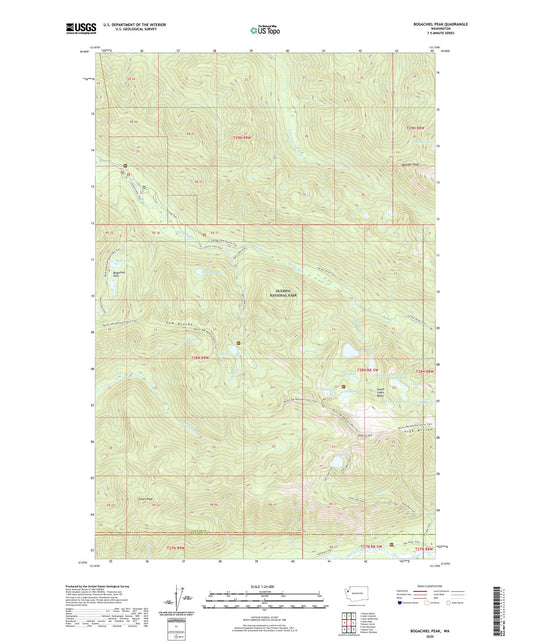 Bogachiel Peak Washington US Topo Map Image