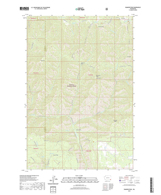 Diamond Peak Washington US Topo Map Image