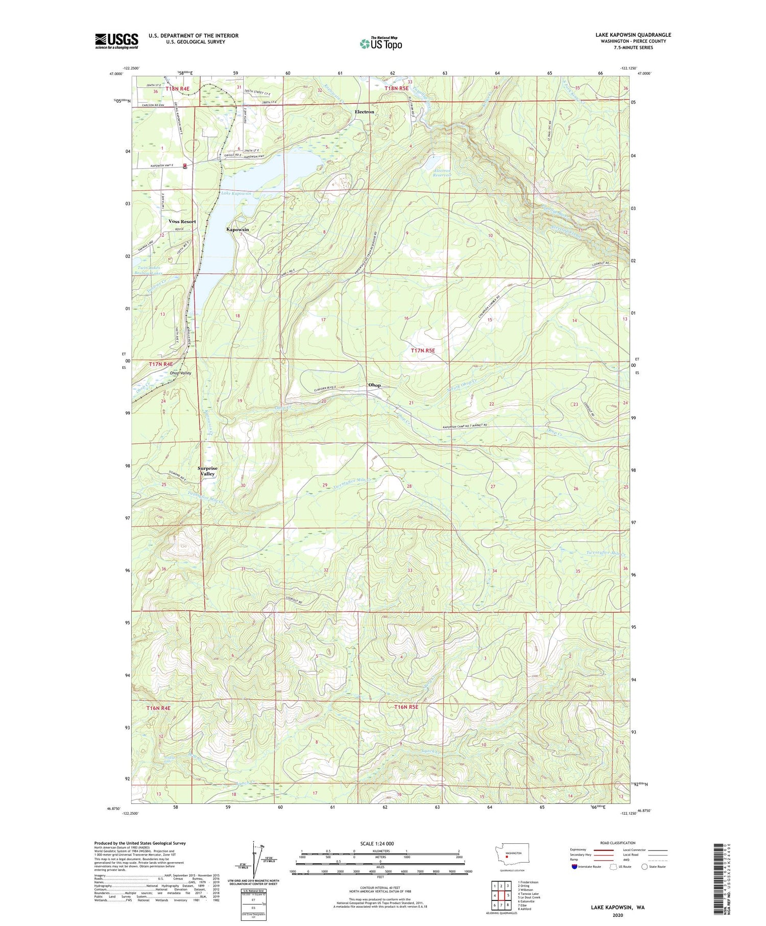 Lake Kapowsin Washington US Topo Map Image
