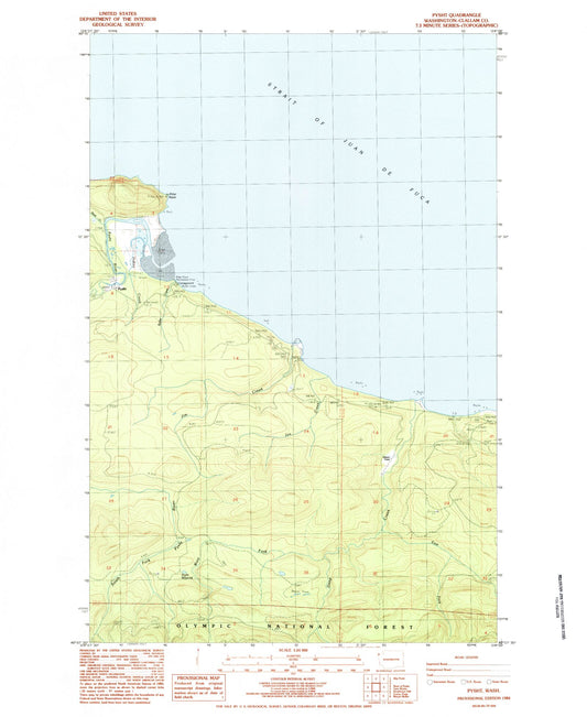 Classic USGS Pysht Washington 7.5'x7.5' Topo Map Image