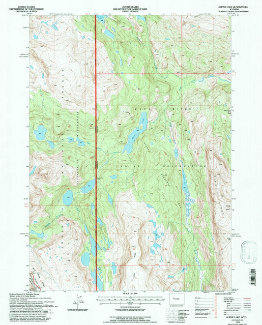 Classic USGS Alpine Lake Wyoming 7.5'x7.5' Topo Map Image