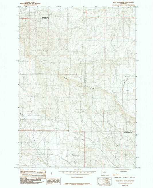 Classic USGS Blue Mesa West Wyoming 7.5'x7.5' Topo Map Image