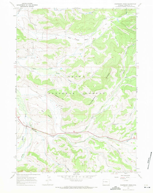 Classic USGS Raspberry Ridge Wyoming 7.5'x7.5' Topo Map Image
